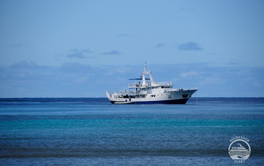 Okeanos Aggressor I Yacht